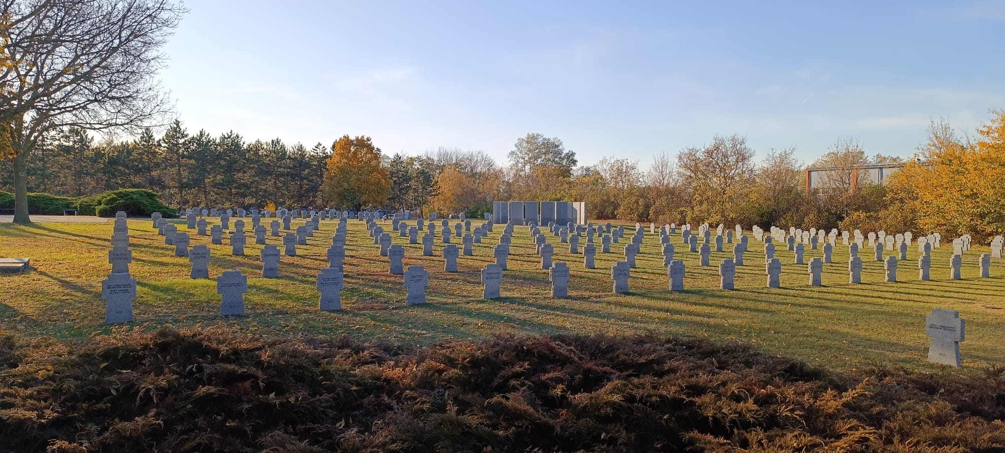 Beitrag-Ungarn-Gedenken-2025-01B7