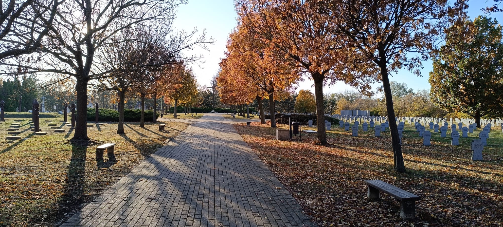 Beitrag-Ungarn-Gedenken-2025-01B8